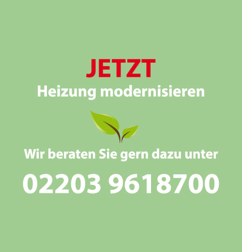 Heizung modernisieren