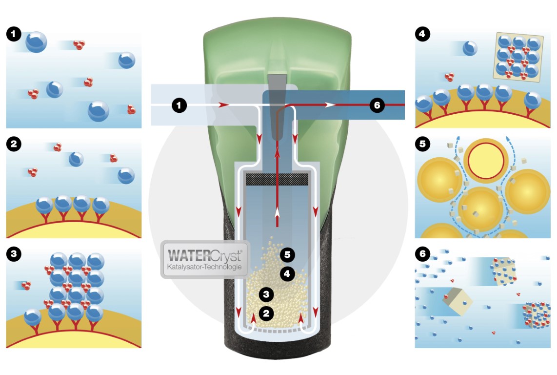 Das BIOCAT Wirkprinzip